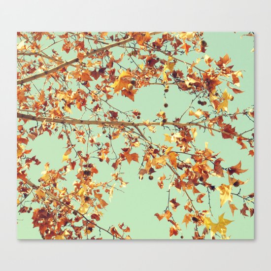 En los árboles Canvas Print