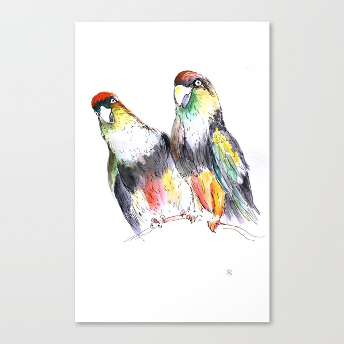 Chilean Parrots Canvas Print