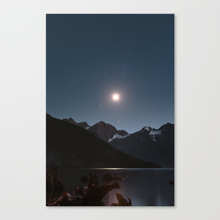 Moonlight  Canvas Print