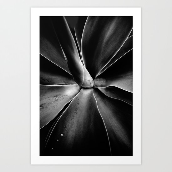 Agave Art Print