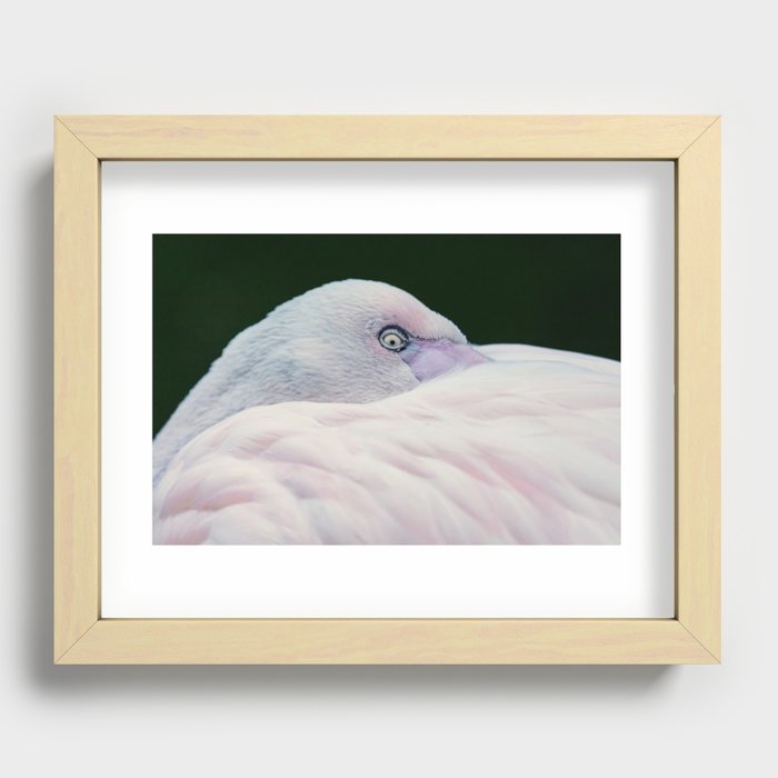 Awaken Recessed Framed Print