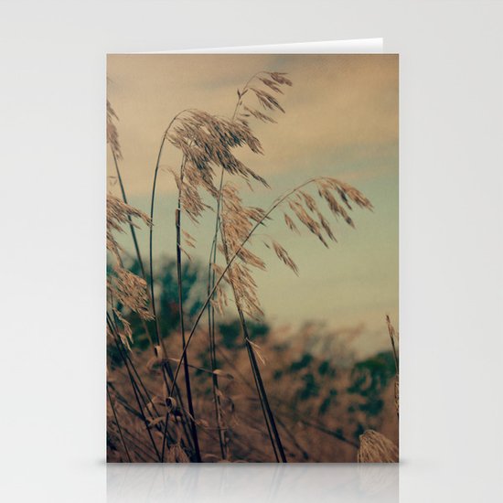 Winter Field Stationery Cards