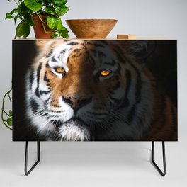 Tiger Portrait Credenza