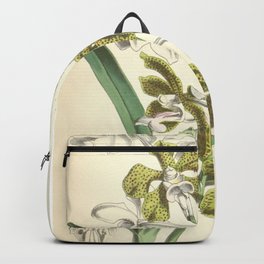 Vanda bensonii Backpack | Botanical, Gardening, 19Thcentury, Botany, Agriculture, Plant, Historical, Garden, Vintage, Floral 