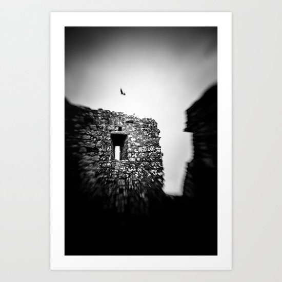 Crow at the Abbey Art Print