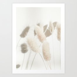 Fluffy Bunny Tail Grass | Soft Neutral Color Photography Art Print | Nature Shadowplay Photo Art Print