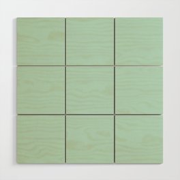 Light Aqua Green Solid Color Pantone Honeydew 12-5808 TCX Shades of Blue-green Hues Wood Wall Art