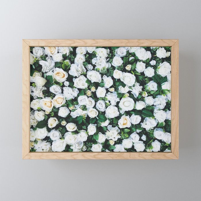 White Roses Framed Mini Art Print