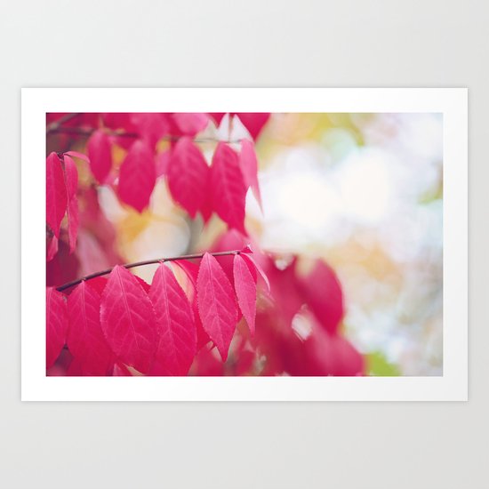 Autumn Splendor Art Print