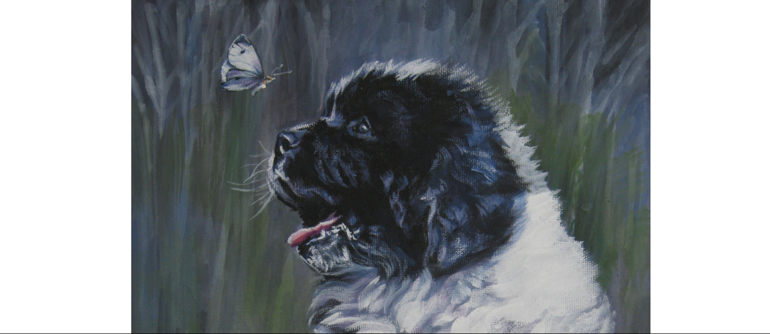 Landseer Newfoundland Dog Art From An Original Painting By L A