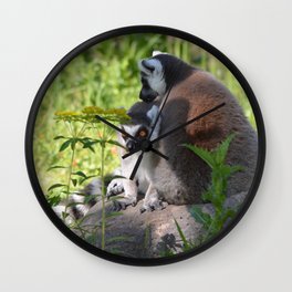 lemur eyes Wall Clock