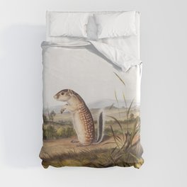 Mexican Marmot Squirrel  from the viviparous quadrupeds of North America (1845) illustrated by john james audubon Duvet Cover