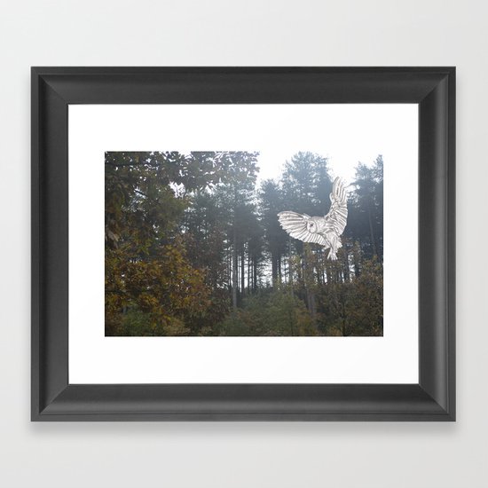 Owl in the Forest Framed Art Print