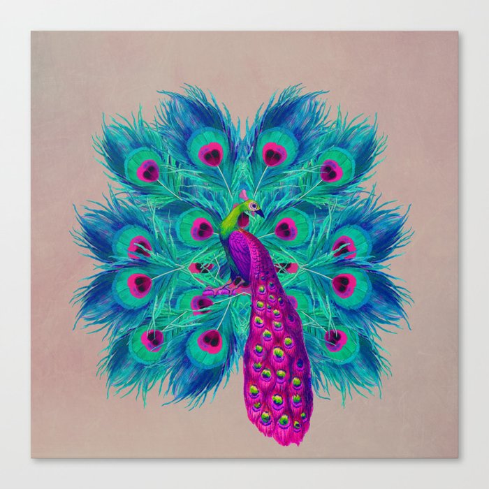 Majectic Peacock Canvas Print