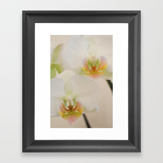 Orchids Framed Art Print