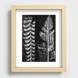Photogram of Feathers Recessed Framed Print