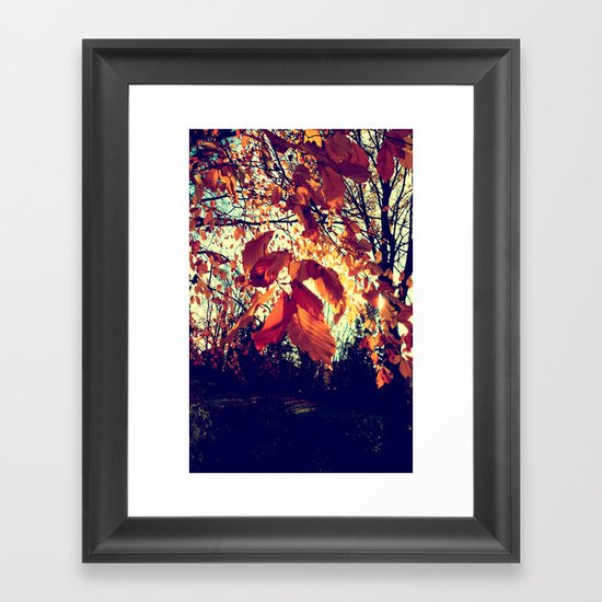Orange Leafs Framed Art Print