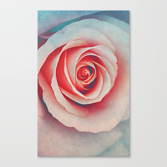 Romantic rose(7). Canvas Print