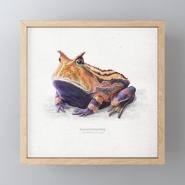 Surinam horned frog art print Framed Mini Art Print