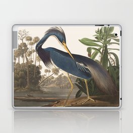 Vintage Bird Illustration Laptop Skin