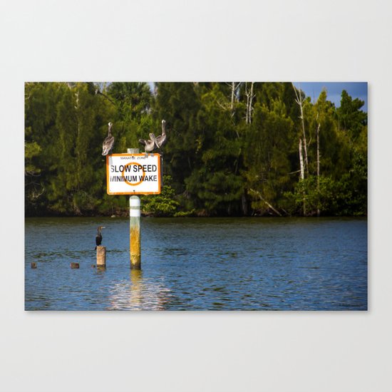 Manatee Zone Canvas Print
