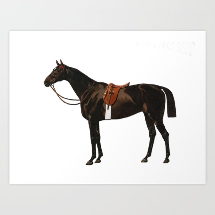 Vintage equestrian horse sketche decor Art Print