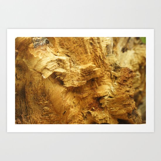Wood Art Print