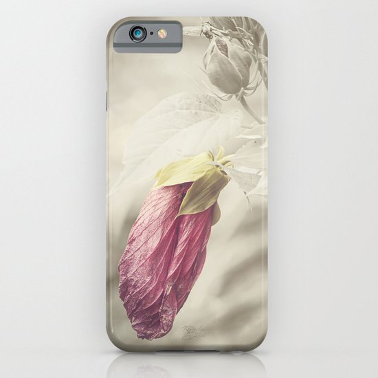 Beauty knows no Age iPhone & iPod Case