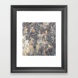 Abstracts in Nature Series -- Sycamore Bark Framed Art Print