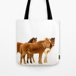 Wild Pony Mares, Assateague Island Tote Bag