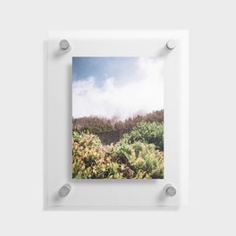Coastal Fog and Forest | PNW Nature Photography Floating Acrylic Print