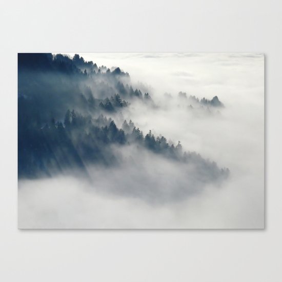 The forest Canvas Print