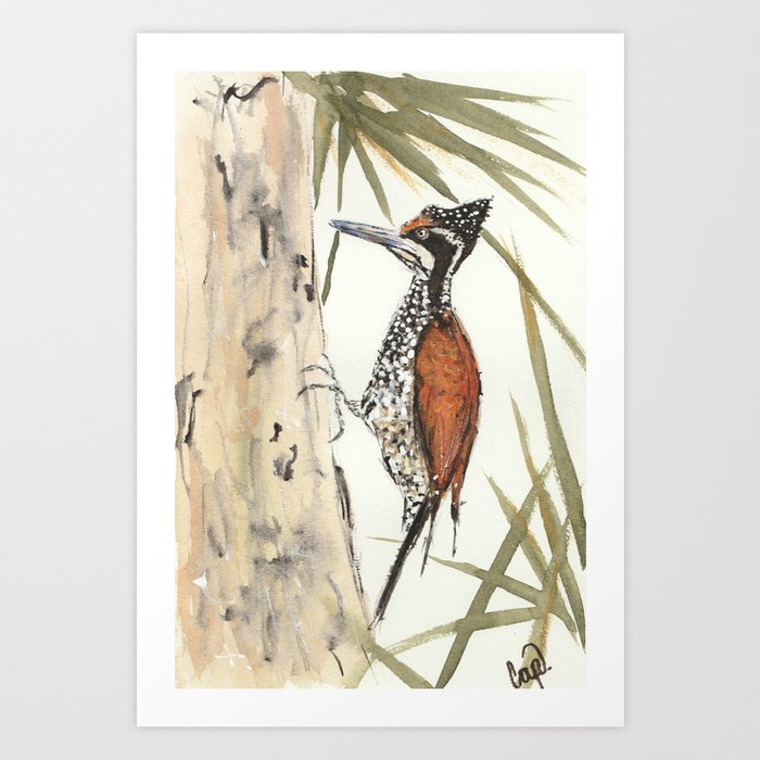 Palm Woodpecker Art Print