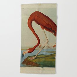 American Flamingo by John Audubon (1785 – 1851) Reproduction. Beach Towel