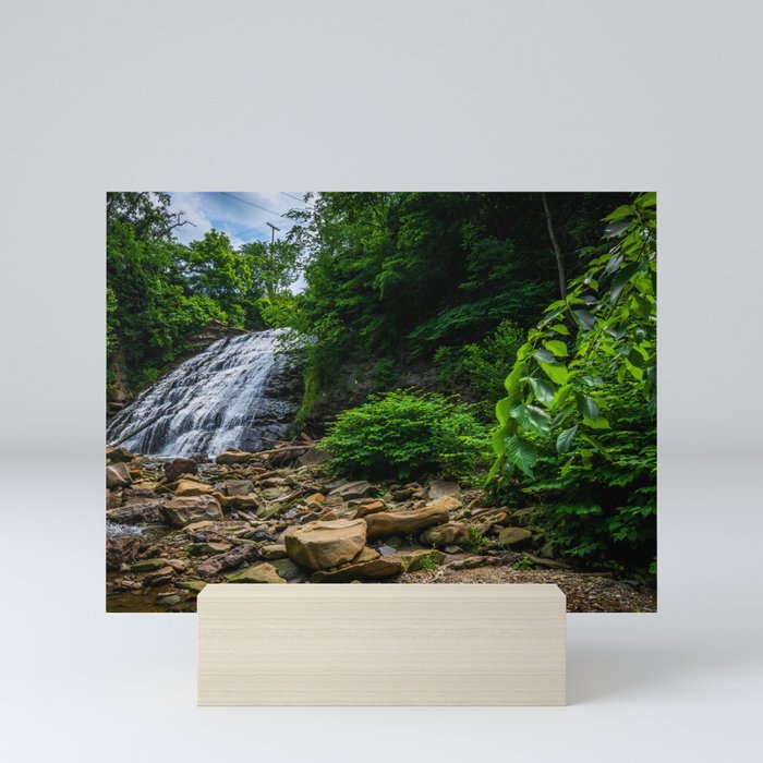 Mill Creek Falls - Cleveland, OH Mini Art Print