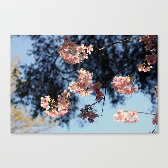 Spring time Canvas Print