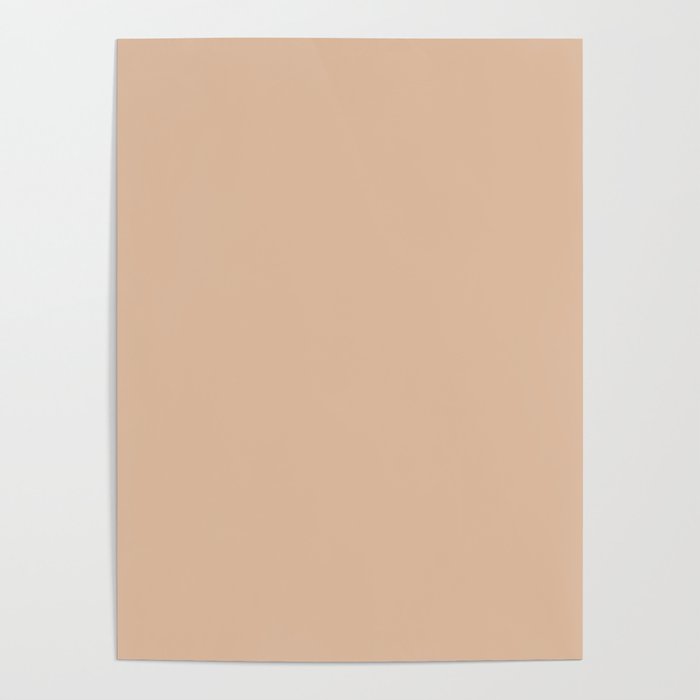 Spicy Beige / Tan Pink Solid Color Pairs Pantone Appleblssom 13-1013 TCX - Shades of Orange Hues Poster