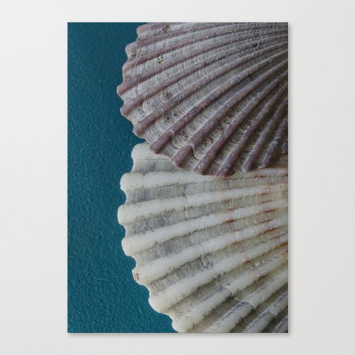 Two Canvas Print
