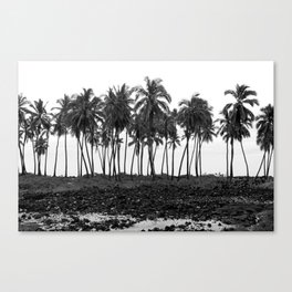 Tropical Darkroom #501 Canvas Print