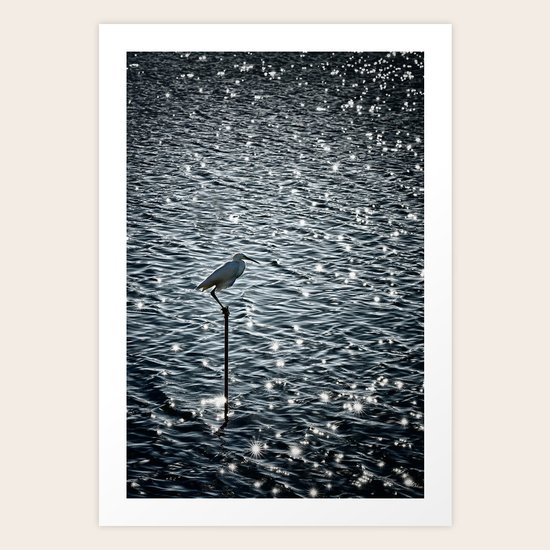 Bird Art Print