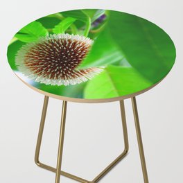 Exotic Kadamba flower from India #3 Side Table