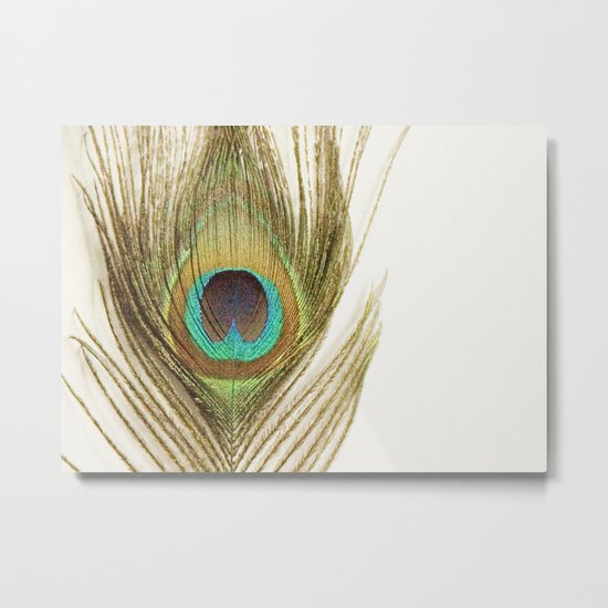 Peacock Feather Metal Print