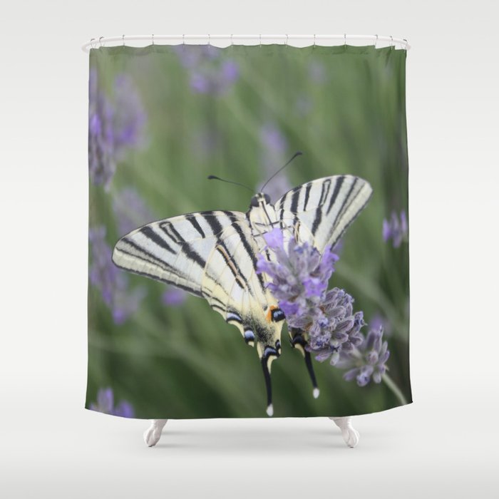 Common Yellow Swallowtail Feeding On  Lavender Photograph Shower Curtain