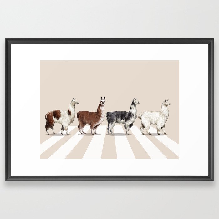 Llama The Abbey Road #2 Framed Art Print