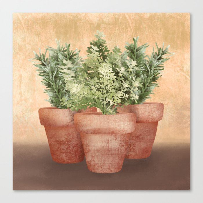 Rosemary and Thyme Canvas Print