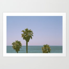 Ocean Palm Tree Trio in San Diego Art Print