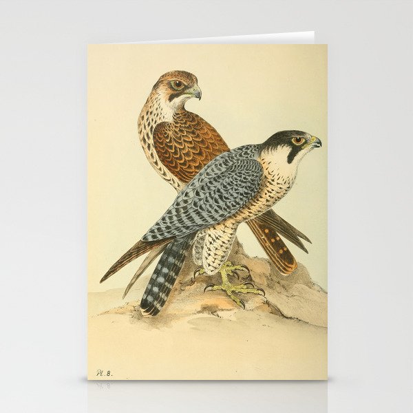 Peregrine Falcon by Henry Leonard Meyer, 1853 (benefitting The Nature Conservancy) Stationery Cards