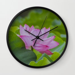 Japanese Waterlily In A Pond In Pink Wall Clock