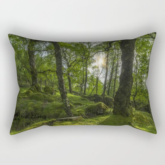 Summer Evenings In Wales Rectangular Pillow
