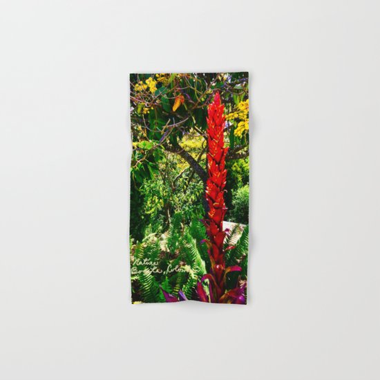 Alpinia purpurata – Red Ginger Flower, Nature in Bogota, Colombia Hand & Bath Towel